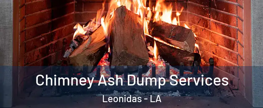 Chimney Ash Dump Services Leonidas - LA