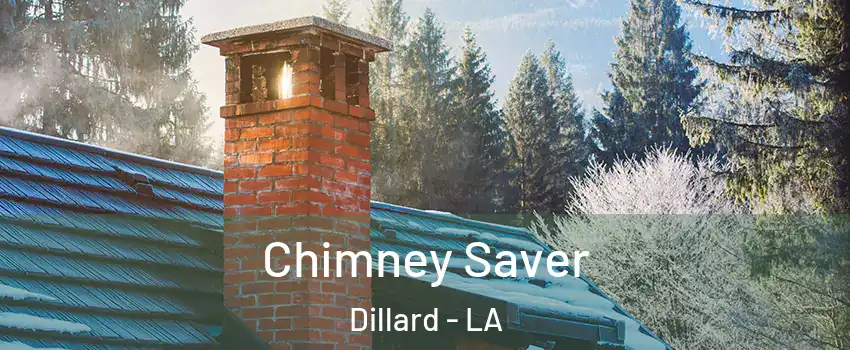 Chimney Saver Dillard - LA