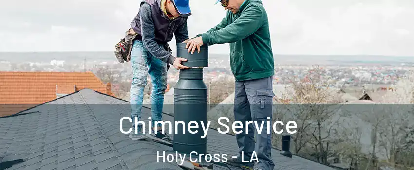 Chimney Service Holy Cross - LA